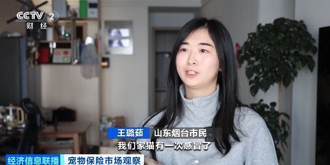 视频丨宠物保险消费升温 现实瓶颈如何破局？