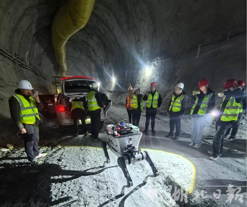 开放新高地 聚力建支点