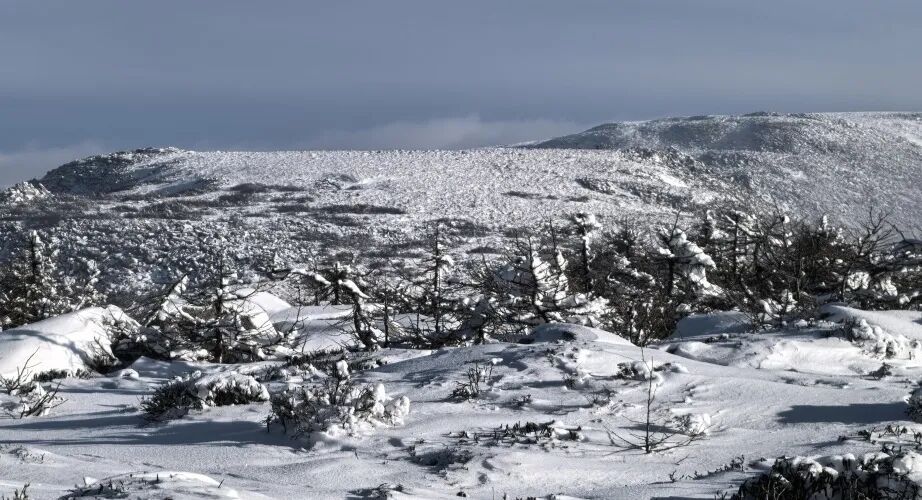 五人非法越过奥泰线，造成三人死亡！搜救进程