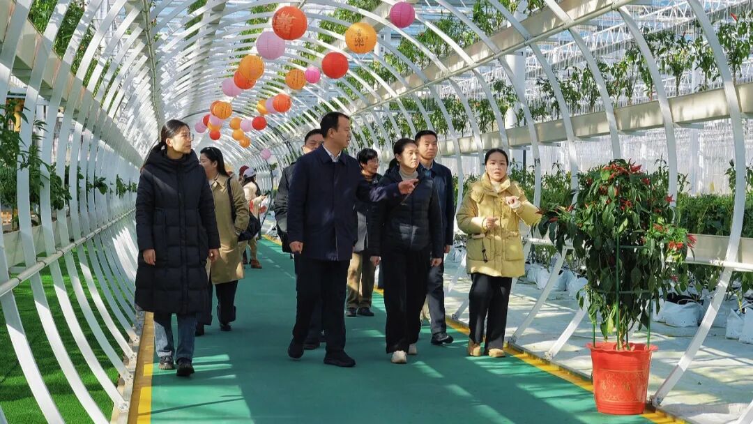 网络大V齐聚孝昌  以“新智新力”赋能县域发展