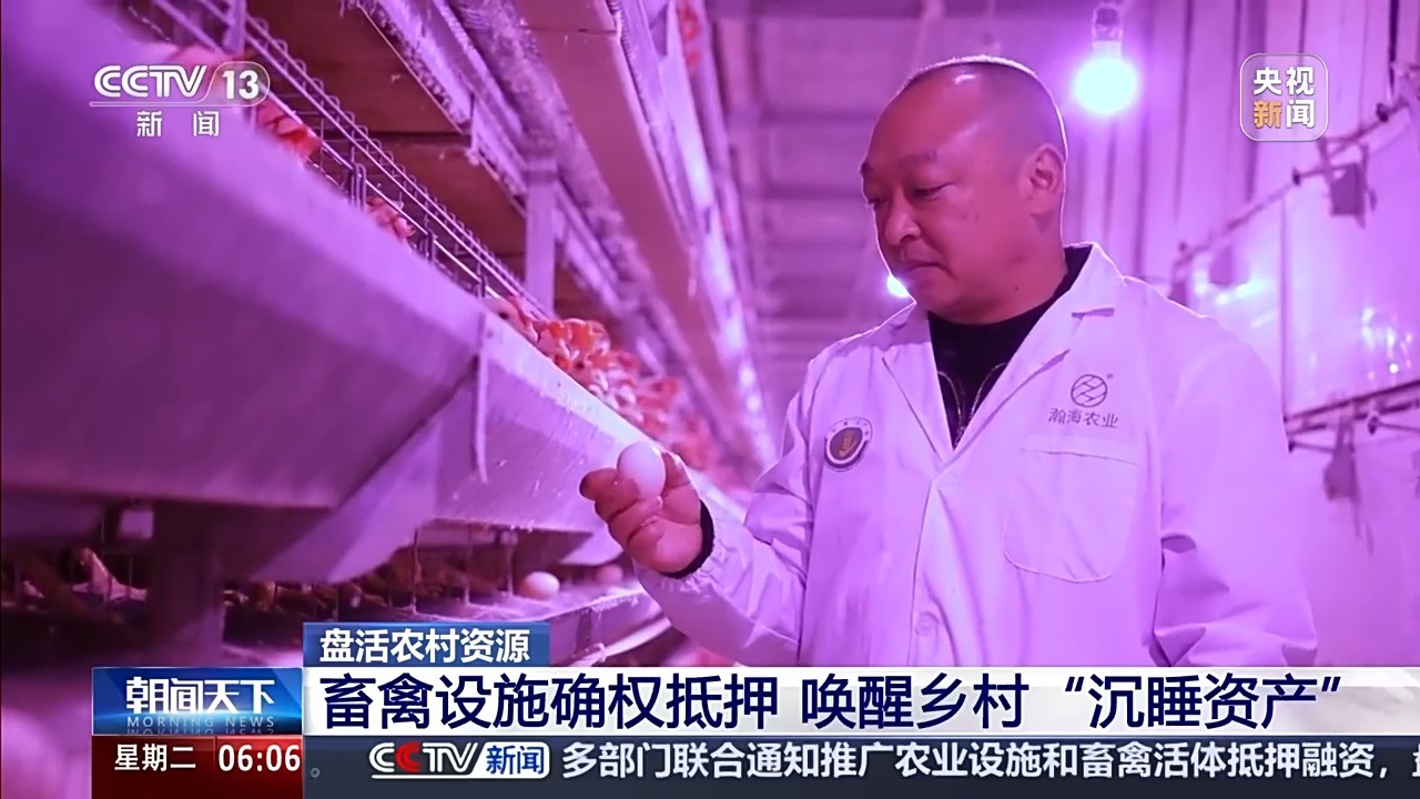  视频丨畜禽设施确权抵押 林票变“金票” 农村“沉睡资产”成了活资金