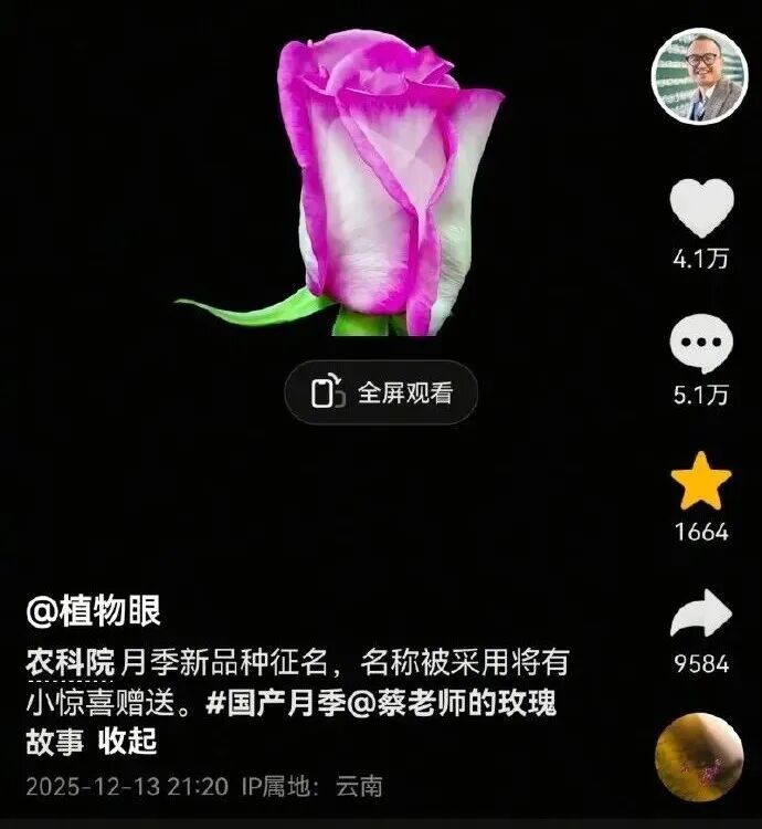  用二舅“宝华”命名的月季，有了最新消息！