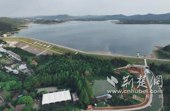  京山：惠亭灌区蝶变启新程 民生水利赋能振兴路