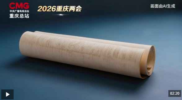 渝见·2026重庆两会｜“画”说开局“十五五”