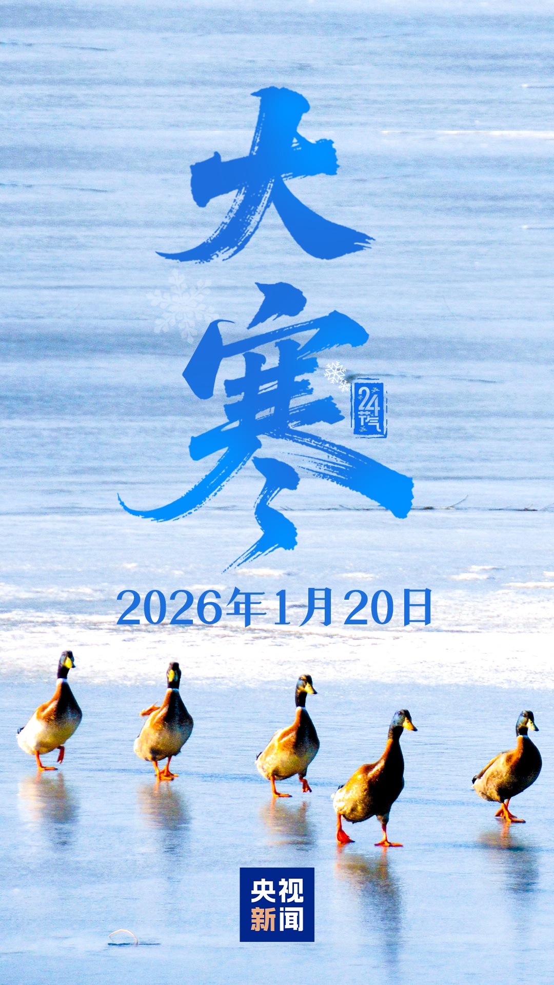 大寒至，待春归！（文内有暖心礼物）