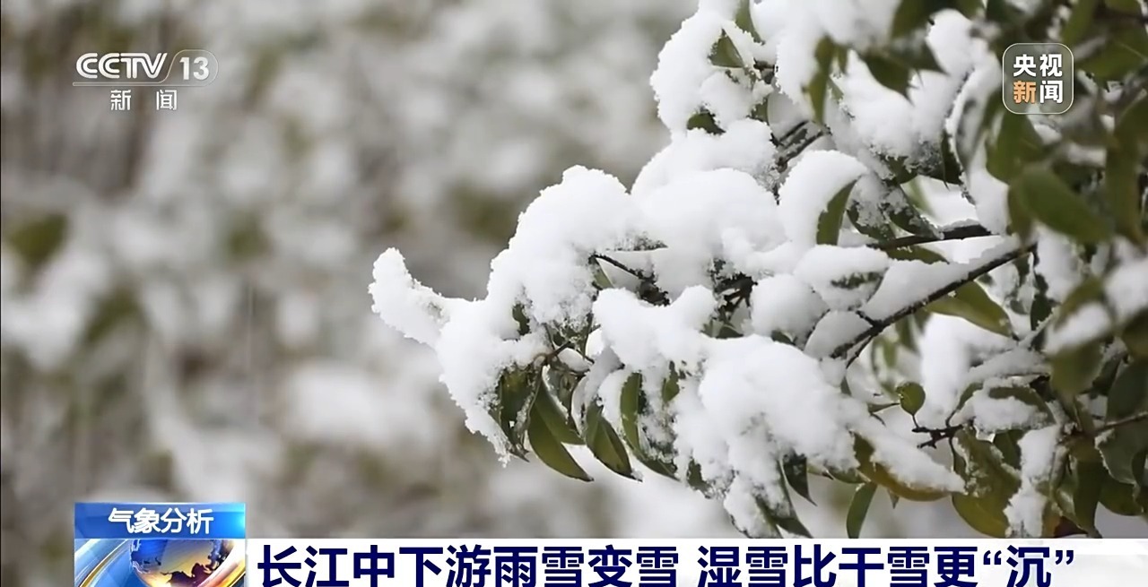 视频丨含水量高、积雪较沉 专家解析长江中下游此轮雨雪特点