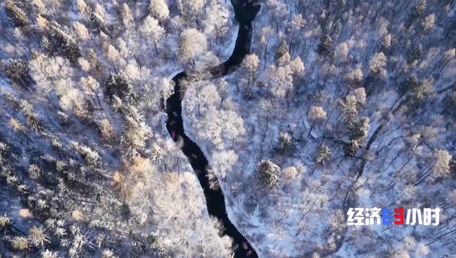 冰雪产业跻身万亿赛道 “冷资源”蕴米兰体育- 米兰体育官方网站 世界杯官方指定投注平台藏经济升温“小火苗”