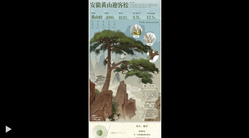一棵树何以成为中国名片