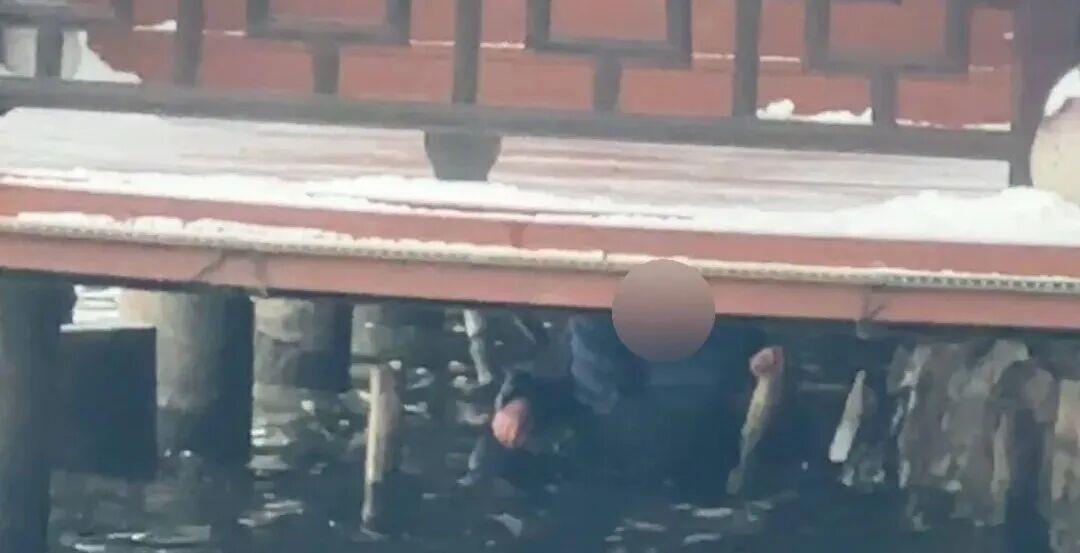  视频丨“脱衣服，救人！” 零下5℃他们脱掉警服救起落水老人