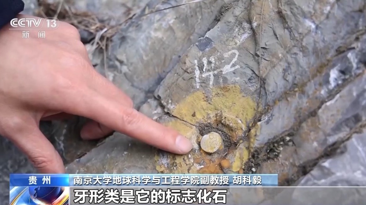 视频丨“金钉子”非金 却含地球46亿年的奥秘