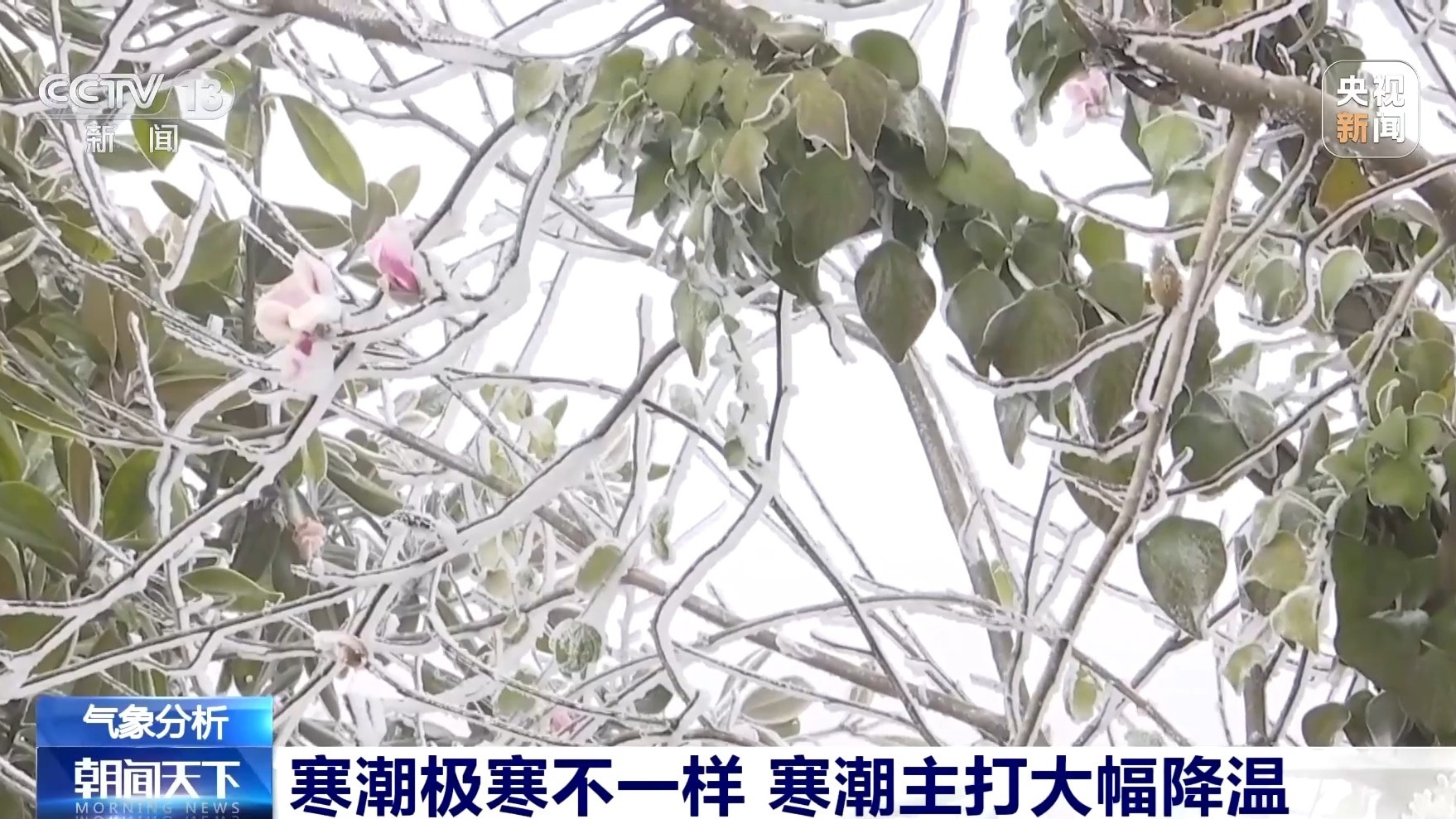 视频丨分清寒潮与极寒 专家详解南北冷感差异