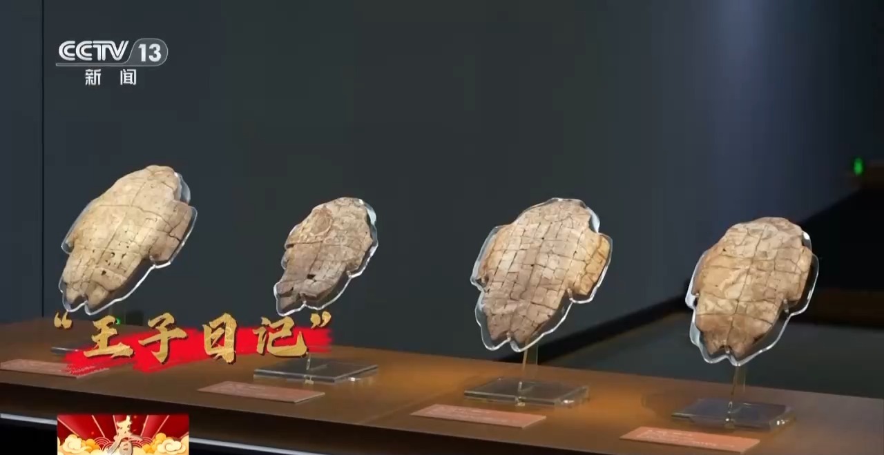 何以春节丨一甲载千古 一马越千年 甲骨文中的马名就有这么多(图2)