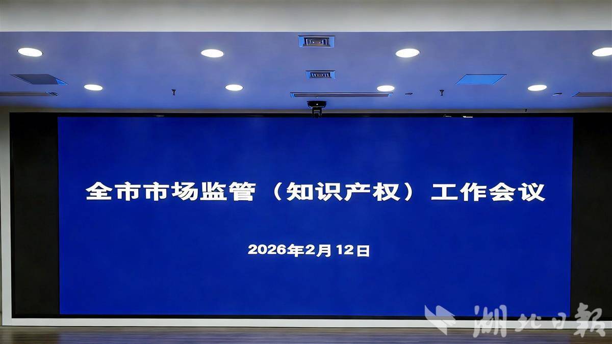 2025年武汉市经营主体总量达270万户