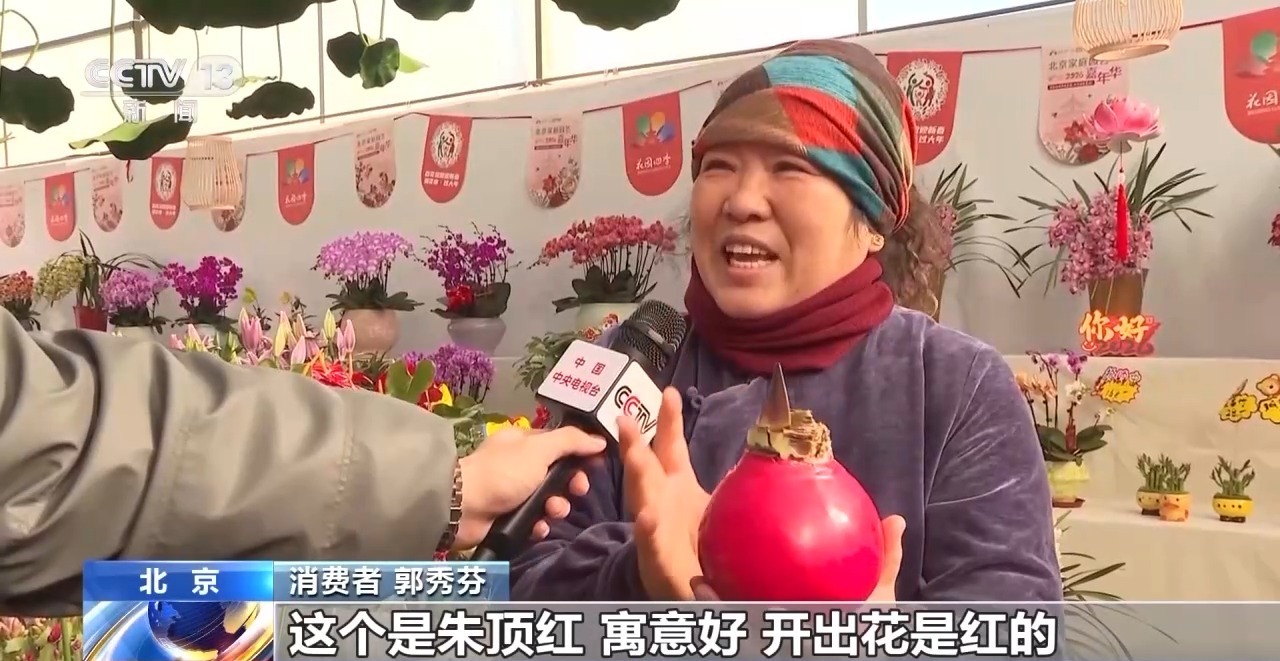 北京年宵花市“马上”升温 新春氛围浓郁