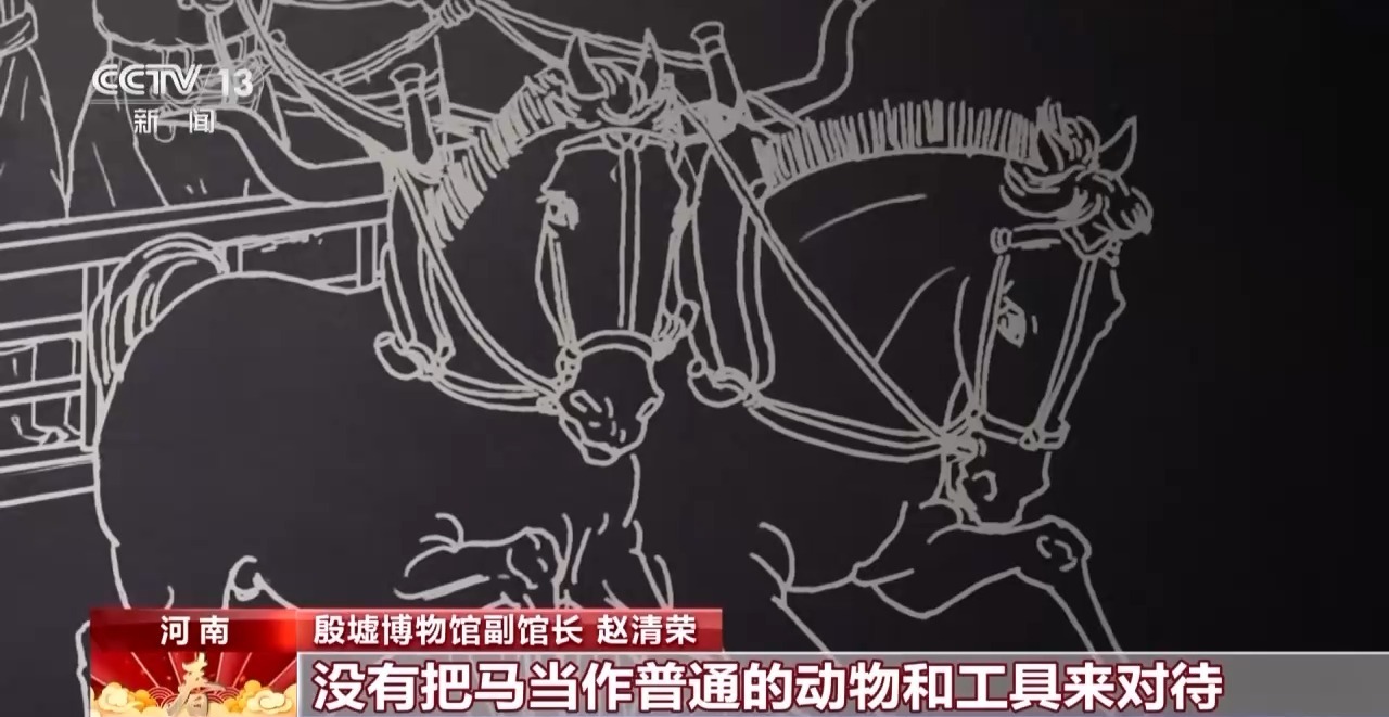 何以春节丨一甲载千古 一马越千年 甲骨文中的马名就有这么多(图3)