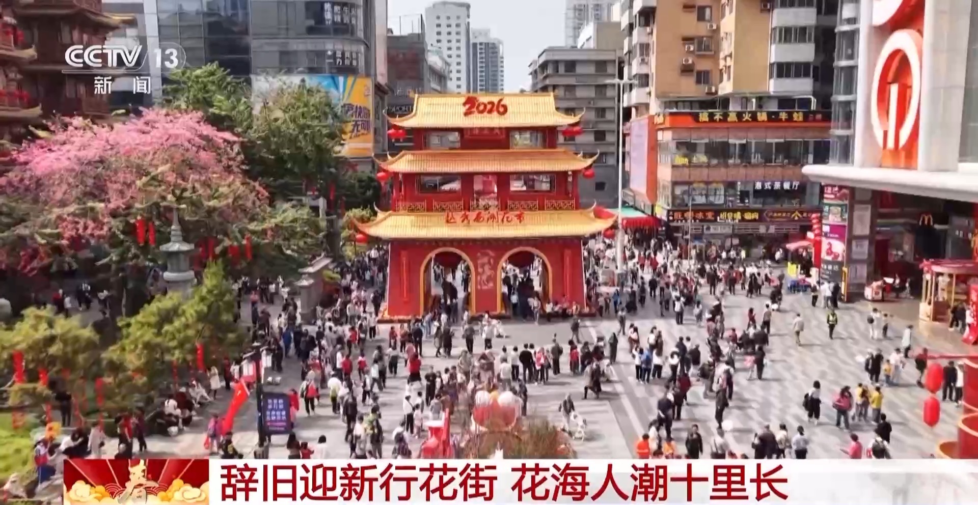 文化中国行丨在“花城”行花街 感受花海人潮十里长