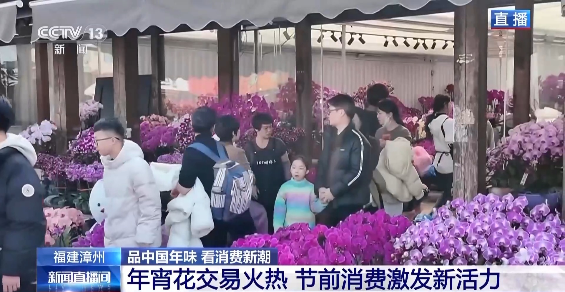  年宵花销售正旺 创意花卉+融合场景激发消费新活力