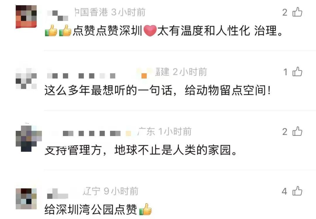  市民建议装灯，公园拒绝，网友却一片赞誉