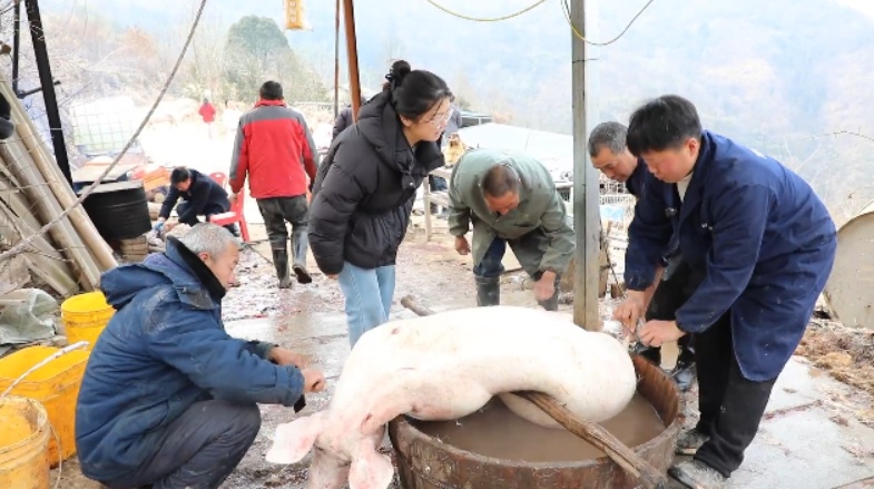  新春走基层丨郧阳区叶大乡返乡新农人冯俊的幸福年