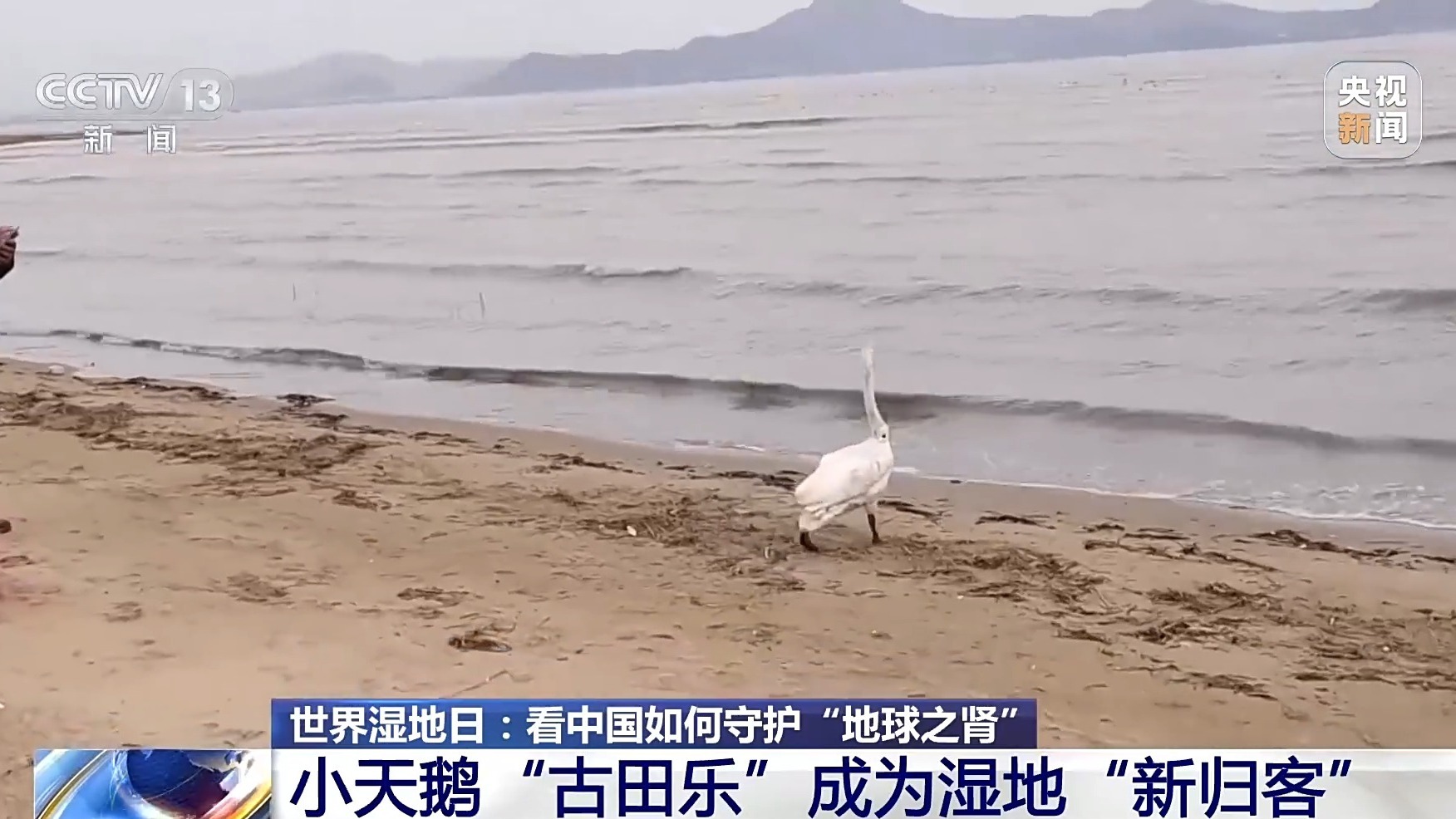 视频丨科技赋能 看中国如何守护“地球之肾”