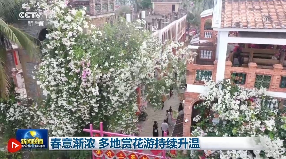 春意渐浓 多地赏花游持续升温
