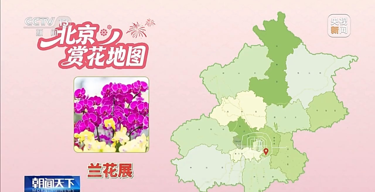 精准控制温度光照 看科技如何给年宵花“调生物钟”