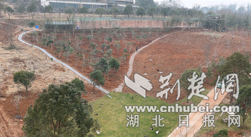 春节出游新地标！钟祥市万紫千红飞鸟大世界邀您共赏鸟类奇观