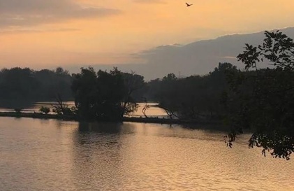 APEC 2026 delegates discover Guangzhou's green side