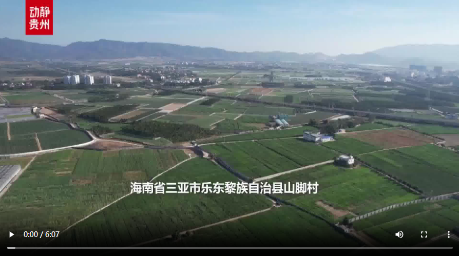 新春走基层丨“借”个夏天种辣椒——贵州辣椒育种团队的南繁故事