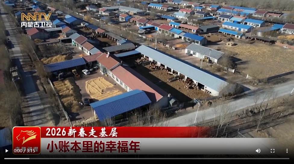 2026新春走基层丨小账本里的幸福年