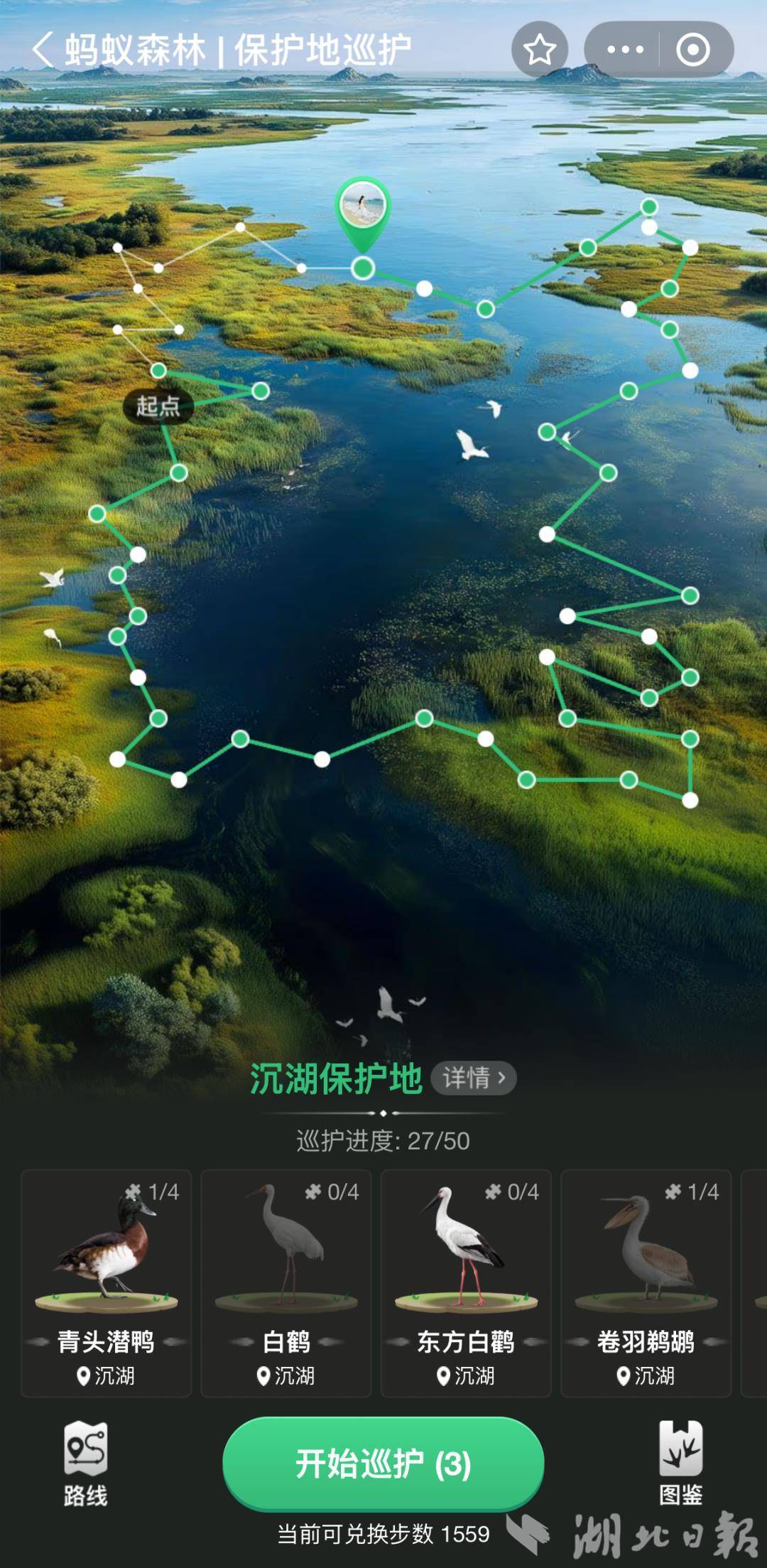 云端守护11万候鸟，沉湖国际重要湿地巡护游戏上线蚂蚁森林