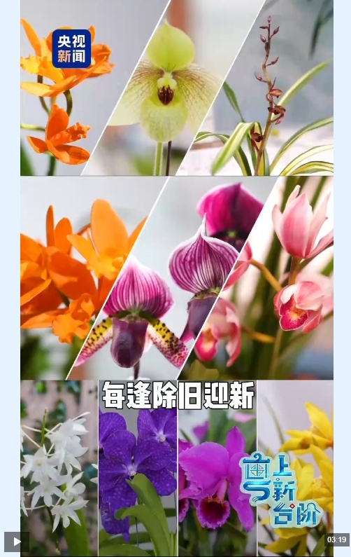  “粤”上新台阶丨老广的春节限定仪式感 为何成为外国人的心头好？