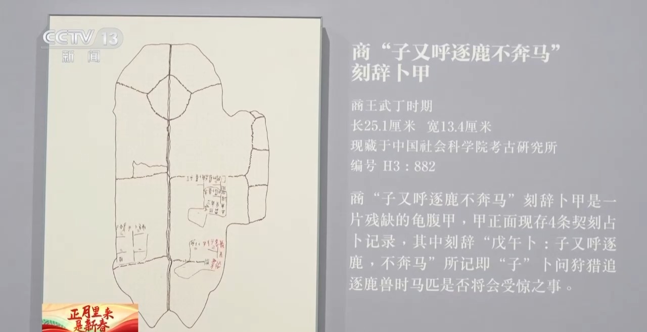 何以春节丨一甲载千古 一马越千年 甲骨文中的马名就有这么多(图4)