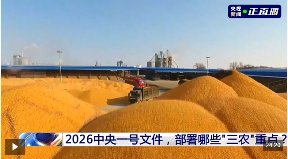 新闻1+1丨2026年中央一号文件，部署哪些“三农”重点？