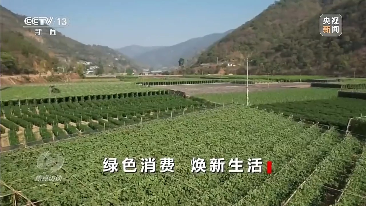 焦点访谈丨绿色消费“焕”出生活新风尚(图5)