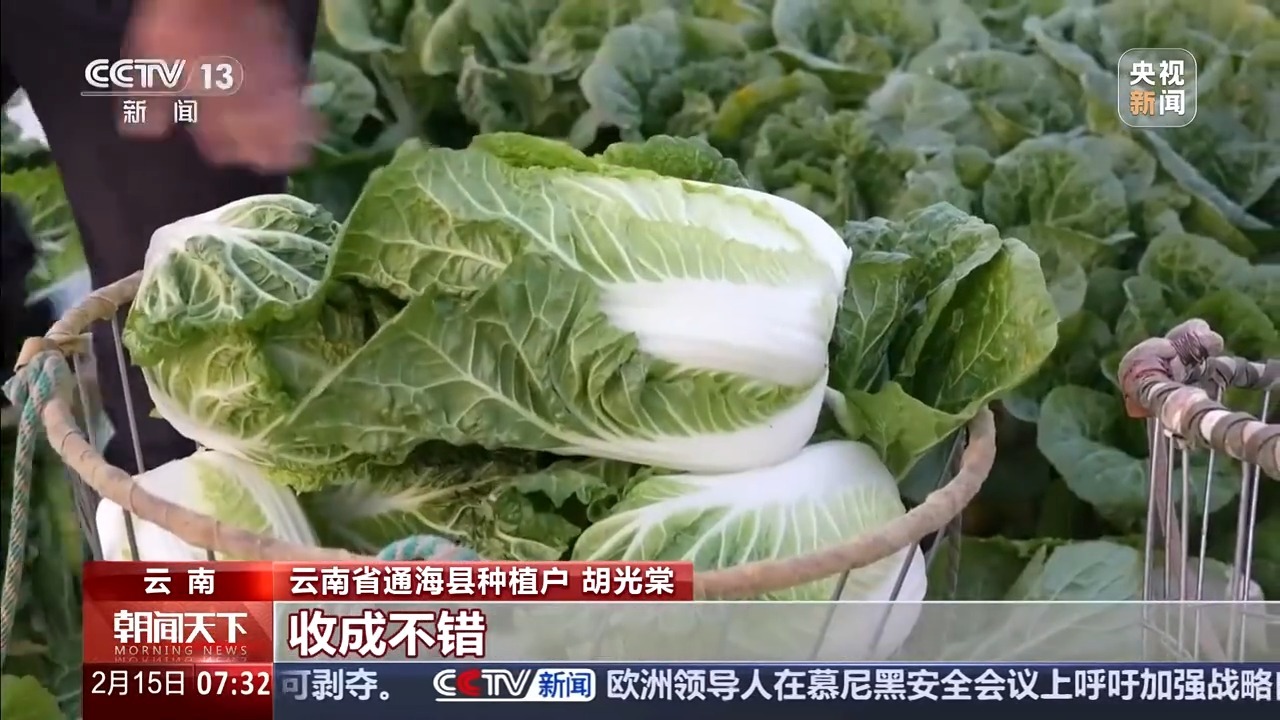 年货食材种类多、供应足 全国多个市场迎来购销热潮