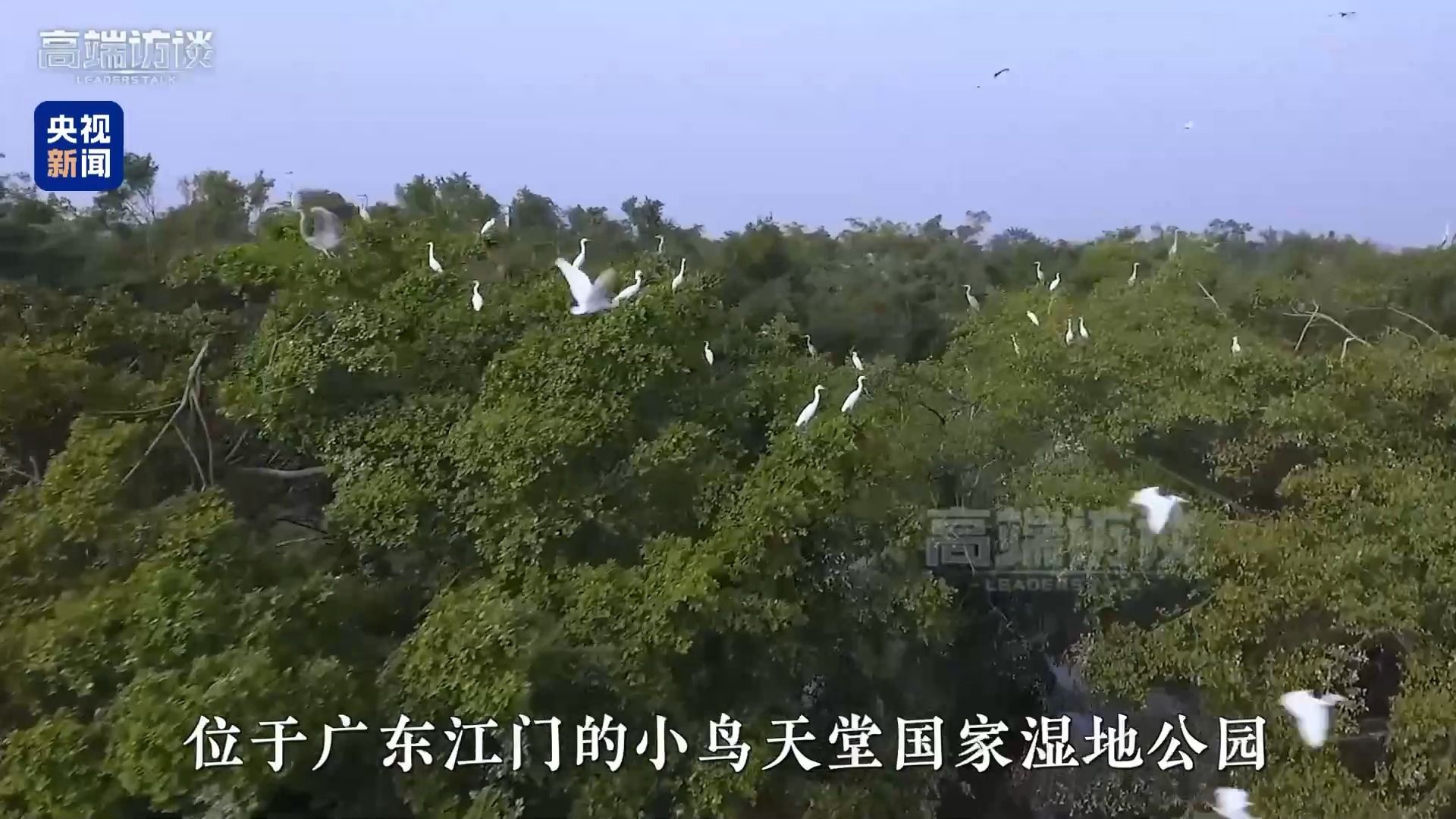  高端访谈丨船游江门“小鸟天堂” 瑙鲁总统：希望更多地了解江门
