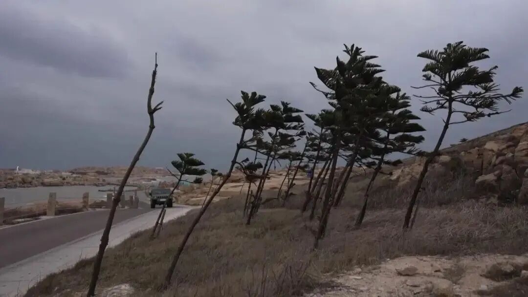 东部战区沿海一线,真实战备记录!