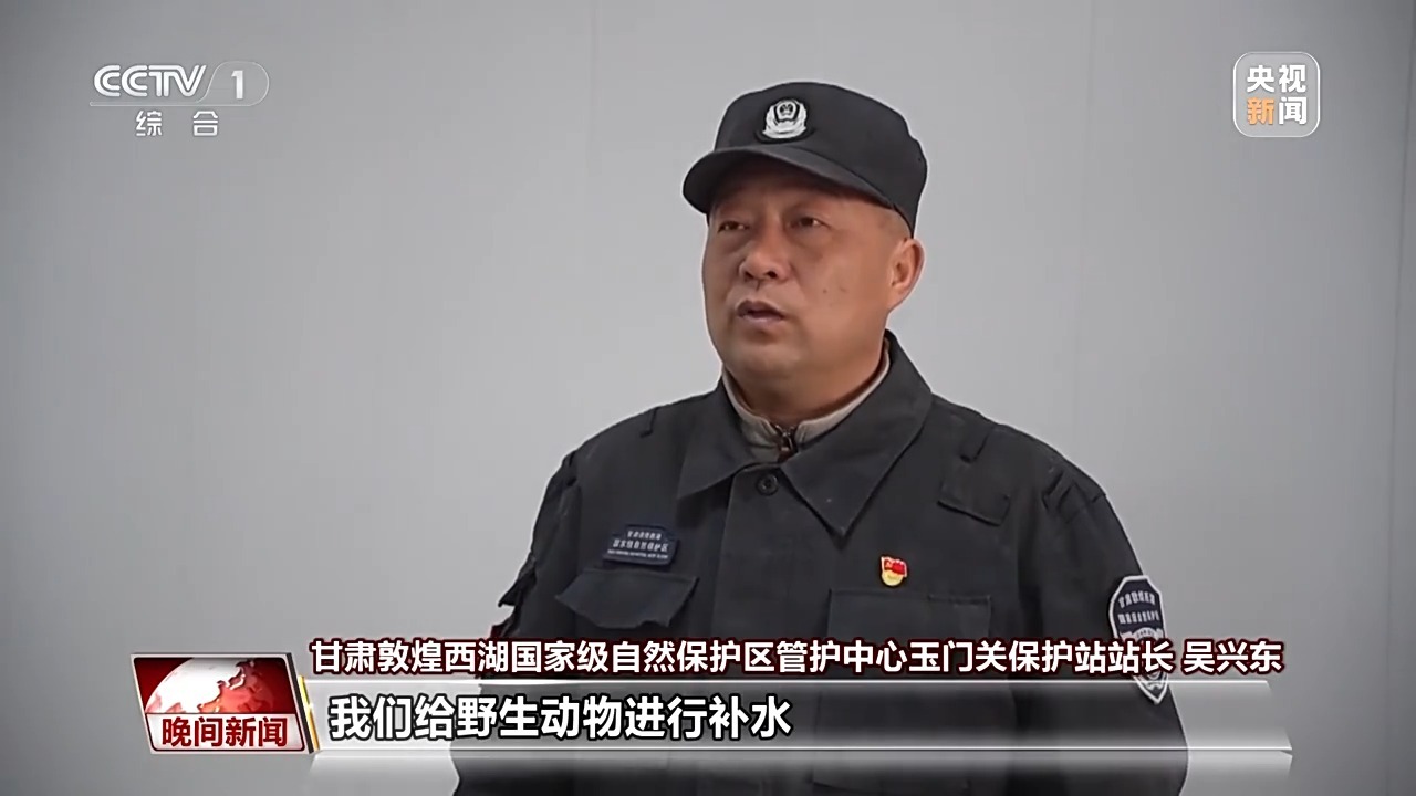 数千年来 人类与马如何和谐共生