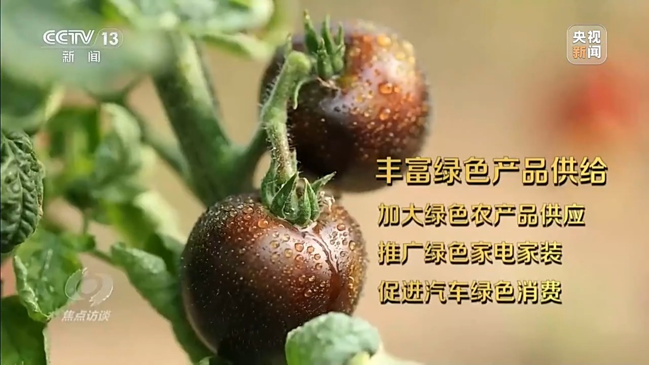 焦点访谈丨绿色消费“焕”出生活新风尚(图3)