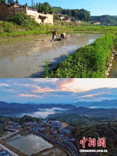  （新春走基层）从“空心村”到“网红村”：乡贤反哺故土，深山古村添“港味”
