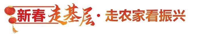 青年主播、“鸵鸟司令”、返乡会计……  看年轻人如何“唤醒”乡村