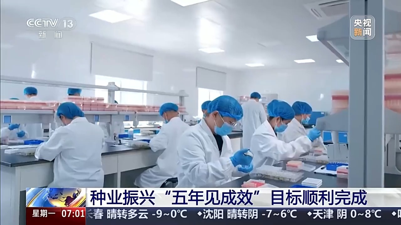  视频丨让“中国粮”主要用“中国种” 我国完成种业振兴“五年见成效”目标