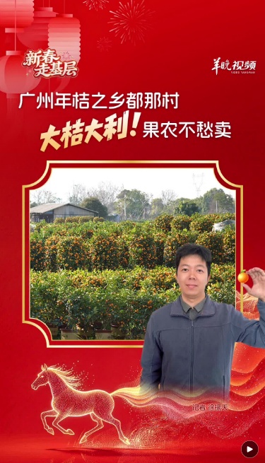 年桔热销正当时，广州“年桔之乡”为何停办“丰收节”？｜新春走基层