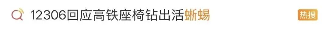  高铁车厢内突然出现蜥蜴？铁路最新通报