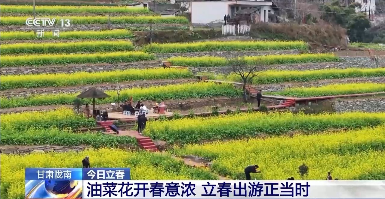 视频丨我国多地花开正好 邀你共赴春日之约