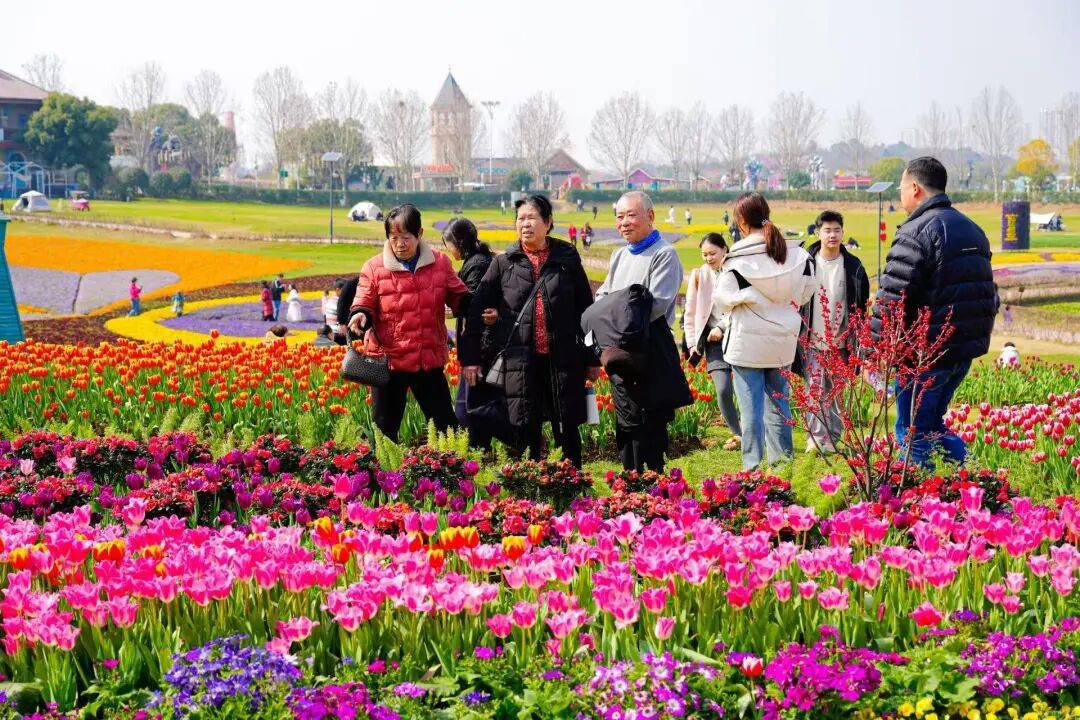  春节假期湖北接待游客6008.96万人次，全国第七！