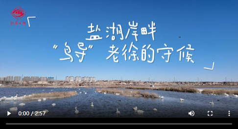 新春走基层｜盐湖岸畔 “鸟导”老徐的守候