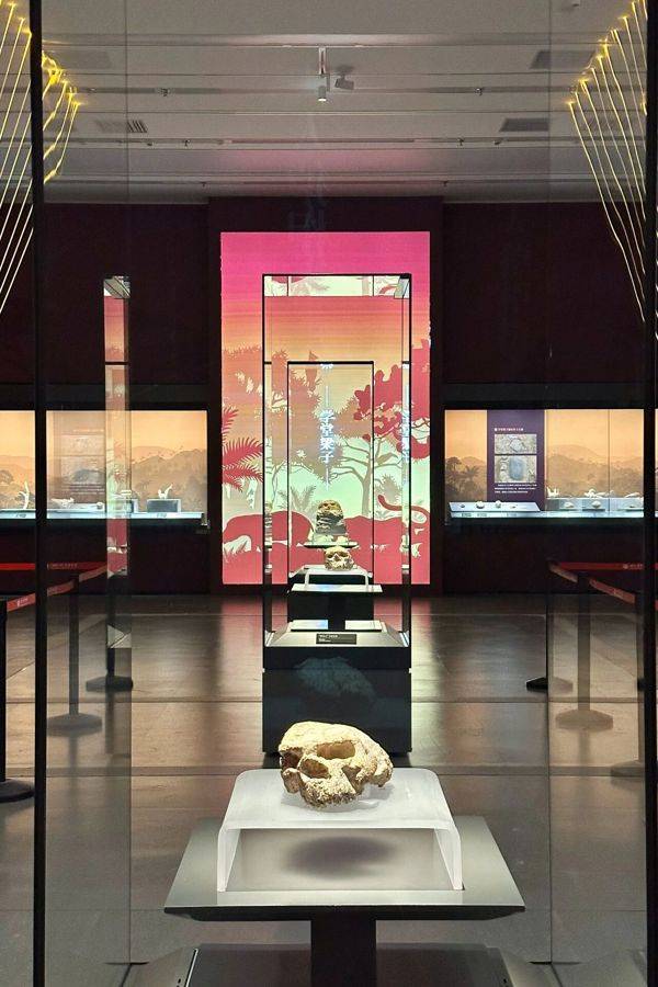 “漫步展厅，文化自信变得具象亲切”   春节来湖北省博看考古大展