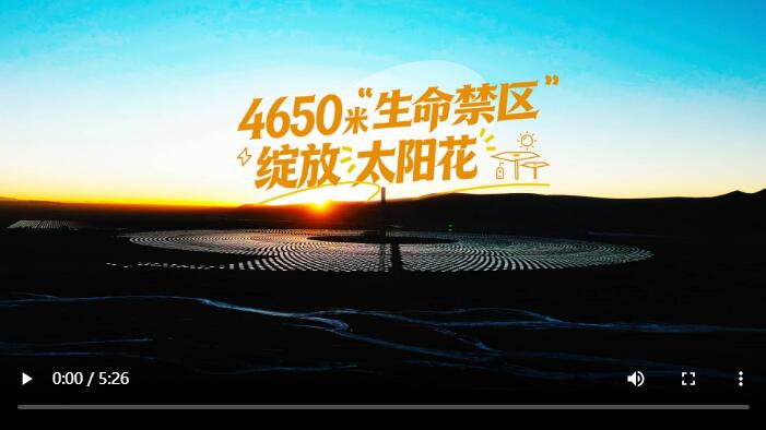  【新春走基层】“搭积木”闯三大难关 4650米“生命禁区”绽放“太阳花”